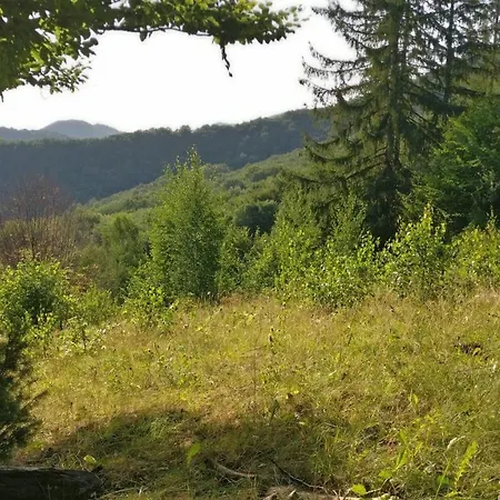 федорчуків гірська хатина Vakantiehuis