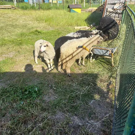 Vakantiehuis федорчуків гірська хатина