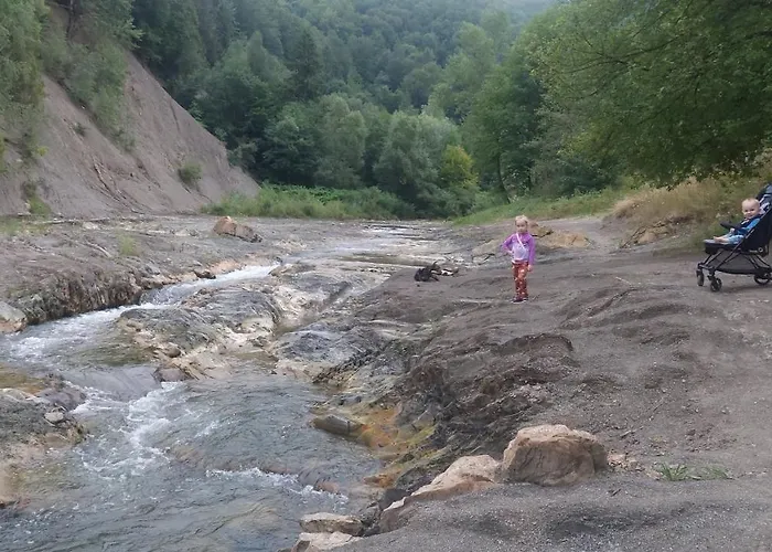 Сasa de vacaciones федорчуків гірська хатина