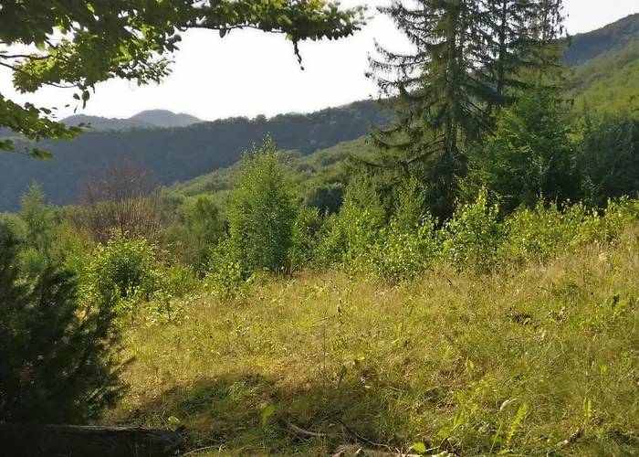 федорчуків гірська хатина Nyaraló